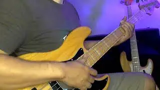 NGULIK BASS #5 Silent Screamer_Tatsuro Yamashita Bass Cover.