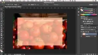Photoshop Tutorial - Working with Marquee Tools