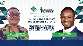 Investing in Africa: Who Gets the Money and Why It Matters