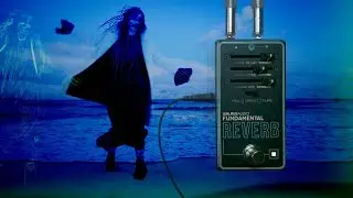 Walrus Audio - Fundamental Reverb