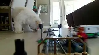 newest lego train track tour! (with a little fluffy interference)