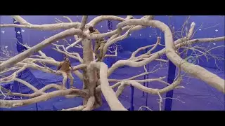 VFX breakdown of 'Kaadan' by PhantomFX