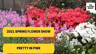 2021 SPRING FLOWER SHOW | PRETTY IN PINK