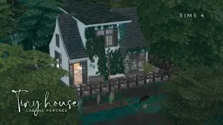 Une tiny house perchée dans les arbres! 🌳