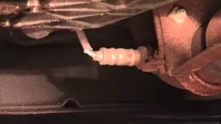 Downstream O2 Sensor Location on a Ford Focus
