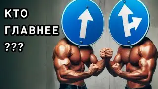 Кто главнее??? Видео №15