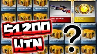 $1200 WIN!! ( NEW 25 HYDRA CASE OPENING IN CSGO )
