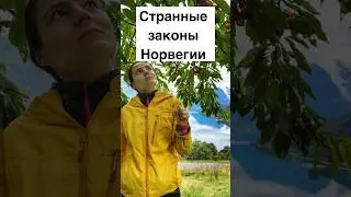Странные законы Норвегии #норвегия