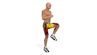 Entraînement pour jambes: High Knees Running In Place