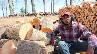 Let's Turn These Rounds Into Firewood