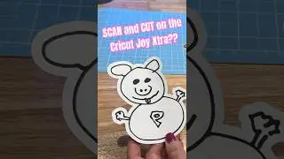 SCAN and CUT on the Cricut Joy Xtra?