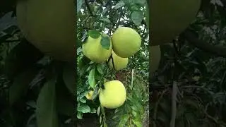 ngày 19 tháng 11, 2022