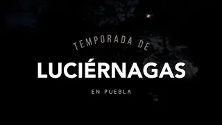 “TEMPORADA DE LUCIÉRNAGAS” - ESTO Y MÁS ES PUEBLA CON MARIALE