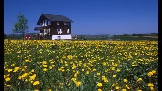 Landscape photography (ENG)