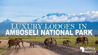 Luxury Safari Lodges in Amboseli National Park | Kenya Safari | Africa Incoming