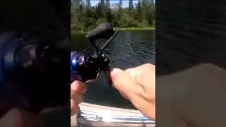 Bass Caught on Custom soft baits