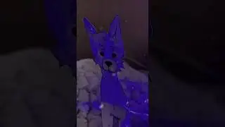 Собаку з@стрели/\и.. Pupl dog 🐩