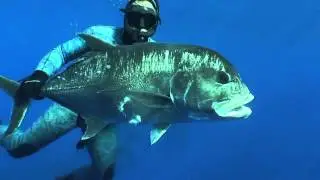 Spearfishing NIUE