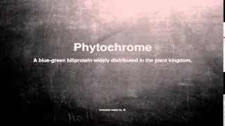 Medical vocabulary: What does Phytochrome mean