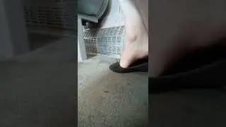 Shoeplay on Train