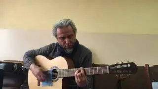 Розовые розы Светке Соколовой -guitar Cover Garri Pat