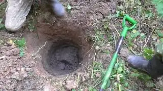 коп по войне осенняя вахта памяти в Смоленской обл