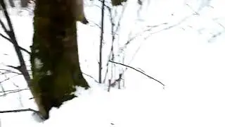 Нава может.