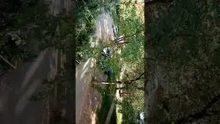 Пермь. Пситеррор. Обстрелы химикатами.