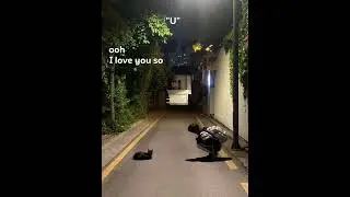 ❤️‍🩹💋