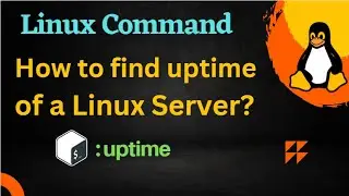 Unlocking: uptime | Become a Linux Pro: Part-21 | Master the Command Line