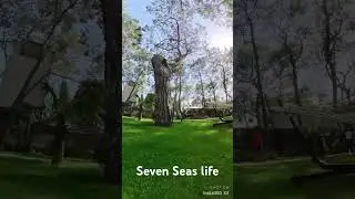 Seven Seas Hotel Life. Очень красивый отель 