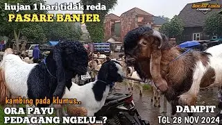 TERUPDATE HARI INI‼️HARGA KAMBING JANTAN DAN BETINA DI PASAR DAMPIT TGL 28 NOV 2024