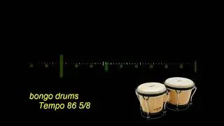 BONGO DRUMS TEMPO 86  5/8