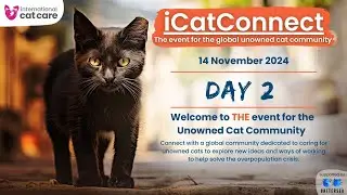 iCatConnect - Day 2 - 14 November 2024
