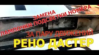 How to quickly replace a license plate light bulb - Renault Duster 