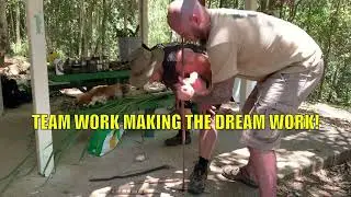 🔥 Bushcraft / Survival 🔥 FireCraft with Jake Cassar