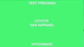 Coyote 'San Raphael' (Aficionado)