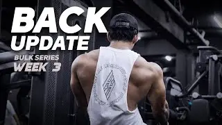 WEEK 3 BULK SERIES | BACK UPDATE & WORKOUT