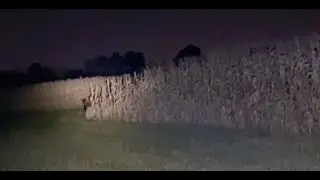 FINALLY!! THE MOST SCARIEST NEVER EVER BEFORE SEEN OHIO PREDATOR FOOTAGE CAPTURED ON CAMERA!!