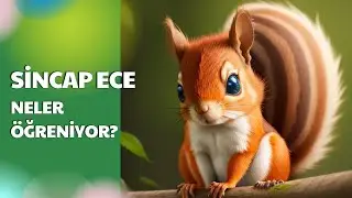 Sincap Ece Neler Öğreniyor?/Masal Dinle/Sesli Masal Dinle