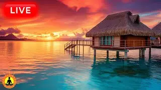 🔴 Soothing Music for Relaxing, Healing Music, Stress Relief Music, Meditation, Ambient Lake Sounds