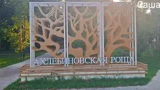 Обзор ахлебиновской рощи