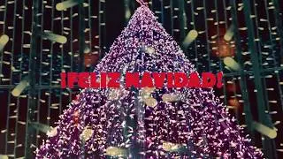 NAVIDAD 2019