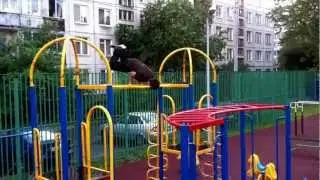 Street workout 2012.Saint Peterburg.