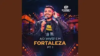 Você Não Vale Nada