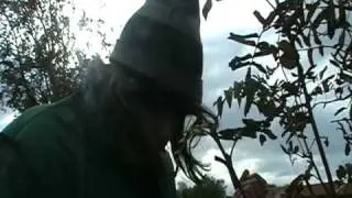 Røn