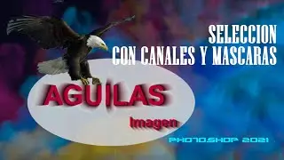 Seleccion con Canales y Mascaras en Photoshop