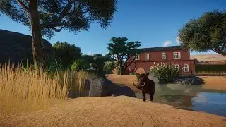 Planet Zoo - Knobbelzwijnen verblijf inrichten  - Dierentuin Zooper #4
