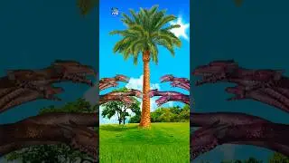 eid mubarak special video chhoti moti galti maaf karo sabko eid mubarak ho 