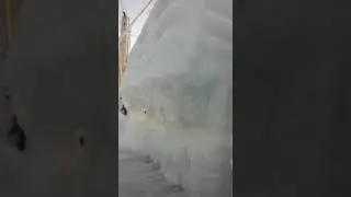 Борьба за жизнь ака Григорич